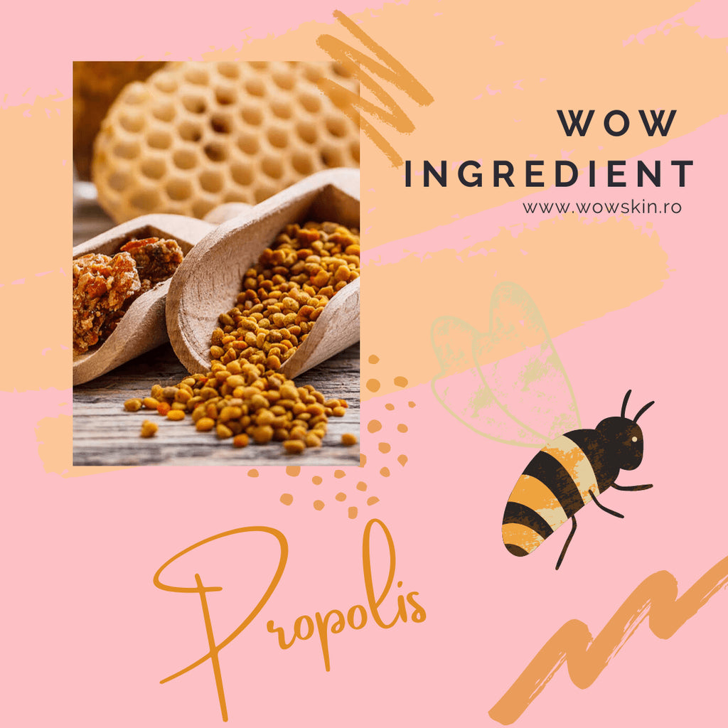 WOW Ingredient: Propolis - WowSkin Romania