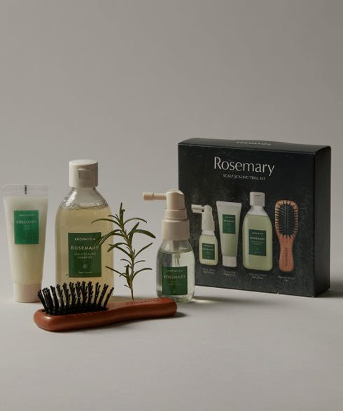 Încearcă rutina completă pentru scalp cu Aromatica Rosemary Scalp Trial Kit. Ideal pentru scalp iritat, gras sau cu probleme – natural, eficient, vegan.