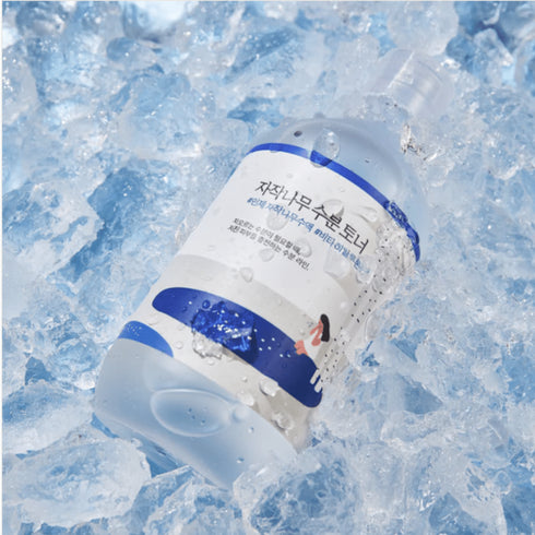 Round Lab Birch Juice Moisturizing Toner